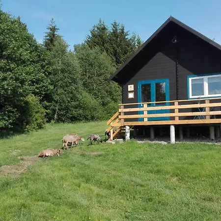Dziewiecsil Blisko Ziemi Gory Stolowe Duszniki Zdroj Lewin Klodzki Exterior photo