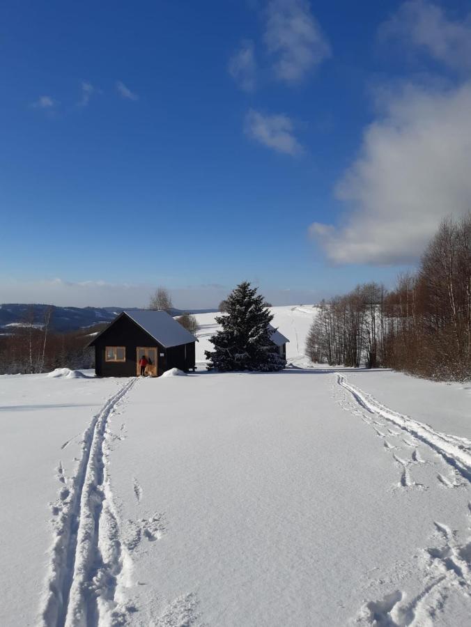 Holiday home Dziewiecsil Blisko Ziemi Gory Stolowe Duszniki Zdroj Lewin Klodzki